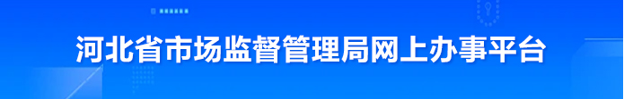 办理流程、进入办理
